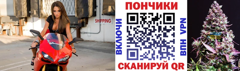 Шишки марихуана Bruce Banner  сколько стоит  Катайск 
